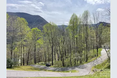 302 Davy Crockett Drive, Maggie Valley, NC 28751 - Photo 48