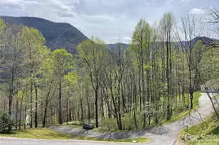 302 Davy Crockett Dr, Maggie Valley, NC 28751 - Photo 48