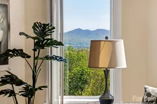 24 Sunnie Rae Ln, Candler, NC 28715 - Photo 6