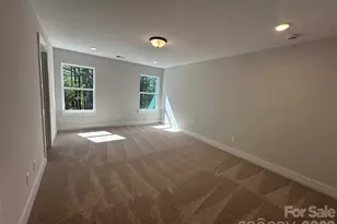 211 Viburnum Rd, Waxhaw, NC 28173 - Photo 10