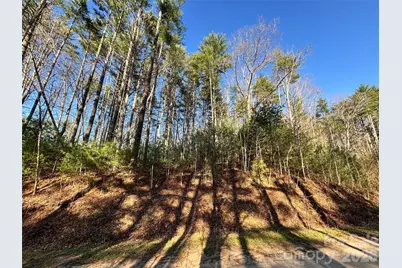 11 Wildlife Drive #11, Clyde, NC 28721 - Photo 10