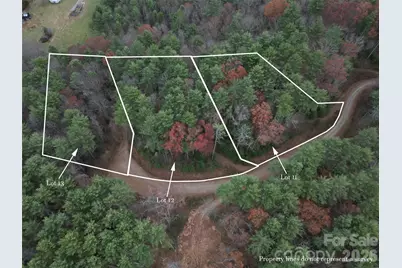 11 Wildlife Drive #11, Clyde, NC 28721 - Photo 1