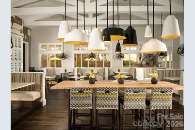 253 Stone Mountain Way, Denver, NC 28037 - Photo 22