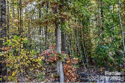 7733 Long Bay Parkway, Catawba, NC 28609 - Photo 4