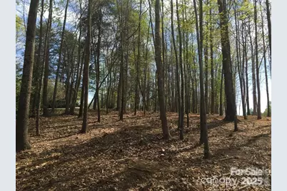 7733 Long Bay Parkway, Catawba, NC 28609 - Photo 6