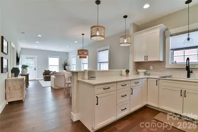 310 Portmanvilla Road, Black Mountain, NC 28711 - Photo 10