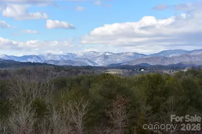 44 Dane Acres Drive, Alexander, NC 28701 - Photo 2
