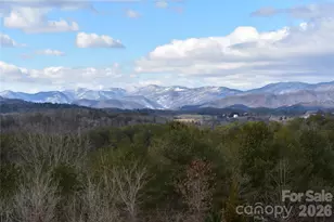 44 Dane Acres Dr, Alexander, NC 28701 - Photo 2