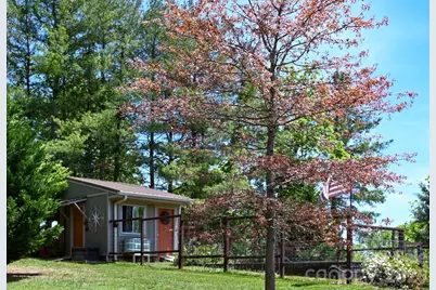 44 Dane Acres Drive, Alexander, NC 28701 - Photo 44