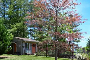 44 Dane Acres Dr, Alexander, NC 28701 - Photo 44