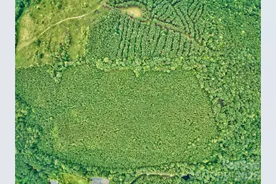 21 US Highway 21 Highway, Ridgeway, SC 29130 - Photo 16