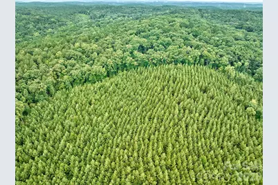 21 US Highway 21 Highway, Ridgeway, SC 29130 - Photo 6