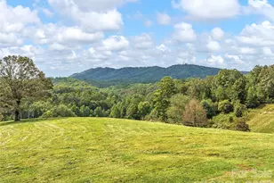 4546 Pine Log Rd, Brasstown, NC 28902 - Photo 32