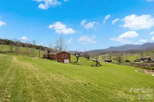 17 Boyd Cove Rd, Leicester, NC 28748 - Photo 32