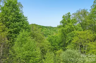 519 Susanna Cove Rd, Mars Hill, NC 28754 - Photo 6