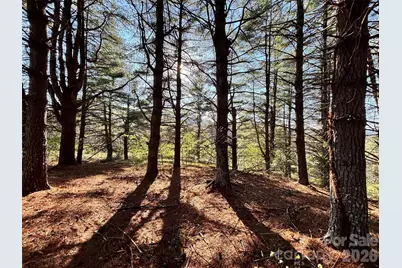 24 Dream Valley Drive #24, Clyde, NC 28721 - Photo 8