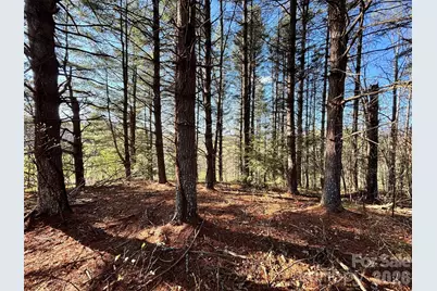 24 Dream Valley Drive #24, Clyde, NC 28721 - Photo 10