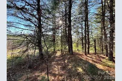 24 Dream Valley Drive #24, Clyde, NC 28721 - Photo 6