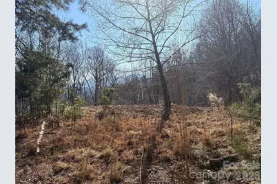 0 Brush Creek Road #37 & 41, Bryson City, NC 28713 - Photo 2