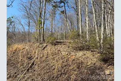 0 Brush Creek Road #37 & 41, Bryson City, NC 28713 - Photo 6