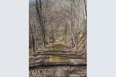 0 Brush Creek Road #37 & 41, Bryson City, NC 28713 - Photo 8