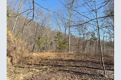 0 Brush Creek Road #37 & 41, Bryson City, NC 28713 - Photo 4