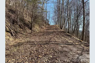 0 Brush Creek Road #37 & 41, Bryson City, NC 28713 - Photo 10