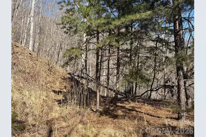 0 Brush Creek Road #37 & 41, Bryson City, NC 28713 - Photo 14