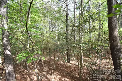 5417 Bridgewater Drive #Lot 260, Granite Falls, NC 28630 - Photo 32