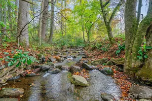 1030 Hughes Gap Rd, Bakersville, NC 28705 - Photo 20