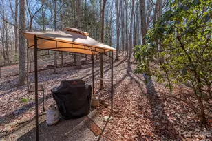 56 Southwicke Dr, Arden, NC 28704 - Photo 30