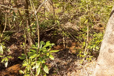 106 Cabin Creek Road, Sylva, NC 28779 - Photo 34