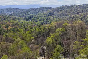 312 Covewood Trail, Asheville, NC 28805 - Photo 28