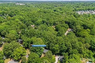204 Swamp Fox Dr, Fort Mill, SC 29715 - Photo 38