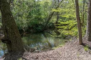 104 Buck Shoals Cir, Hudson, NC 28638 - Photo 38