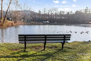 5 Lillie Farm Ln, Weaverville, NC 28787 - Photo 38