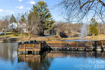 5 Lillie Farm Lane, Weaverville, NC 28787 - Photo 40