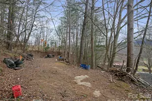 2432 Grapevine Rd, Marshall, NC 28753 - Photo 20