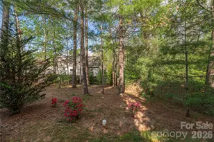 22 Sparkle Dun Dr, Biltmore Lake, NC 28715 - Photo 24