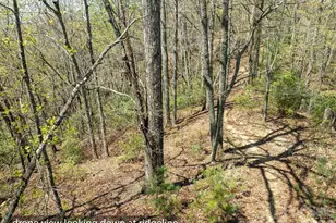 2687 Indian Grave Rd, Lenoir, NC 28645 - Photo 18