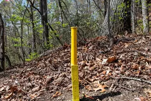 2687 Indian Grave Rd, Lenoir, NC 28645 - Photo 30