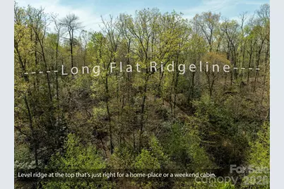 2687 Indian Grave Road, Lenoir, NC 28645 - Photo 26