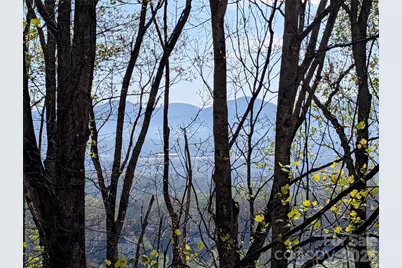 4 Wild Dogwood Trail, Mills River, NC 28759 - Photo 36