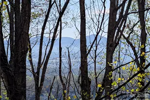 4 Wild Dogwood Trail, Mills River, NC 28759 - Photo 36