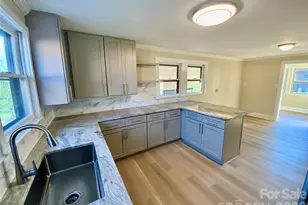 310 Horn Bottom Rd, Forest City, NC 28043 - Photo 4