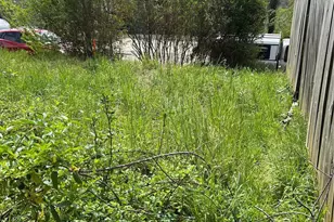 99999 Lamb Ave, Asheville, NC 28806 - Photo 1