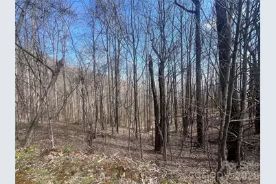 200 Wolverine Court #44, Waynesville, NC 28785 - Photo 4