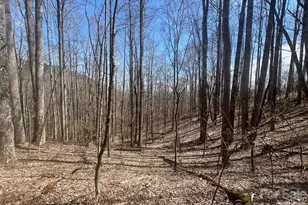 200 Wolverine Ct, Waynesville, NC 28785 - Photo 1