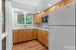 65 Gusv Ct, Brevard, NC 28712 - Photo 30