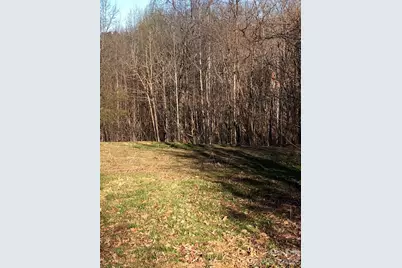 453 Grandview Peaks Drive, Nebo, NC 28761 - Photo 14
